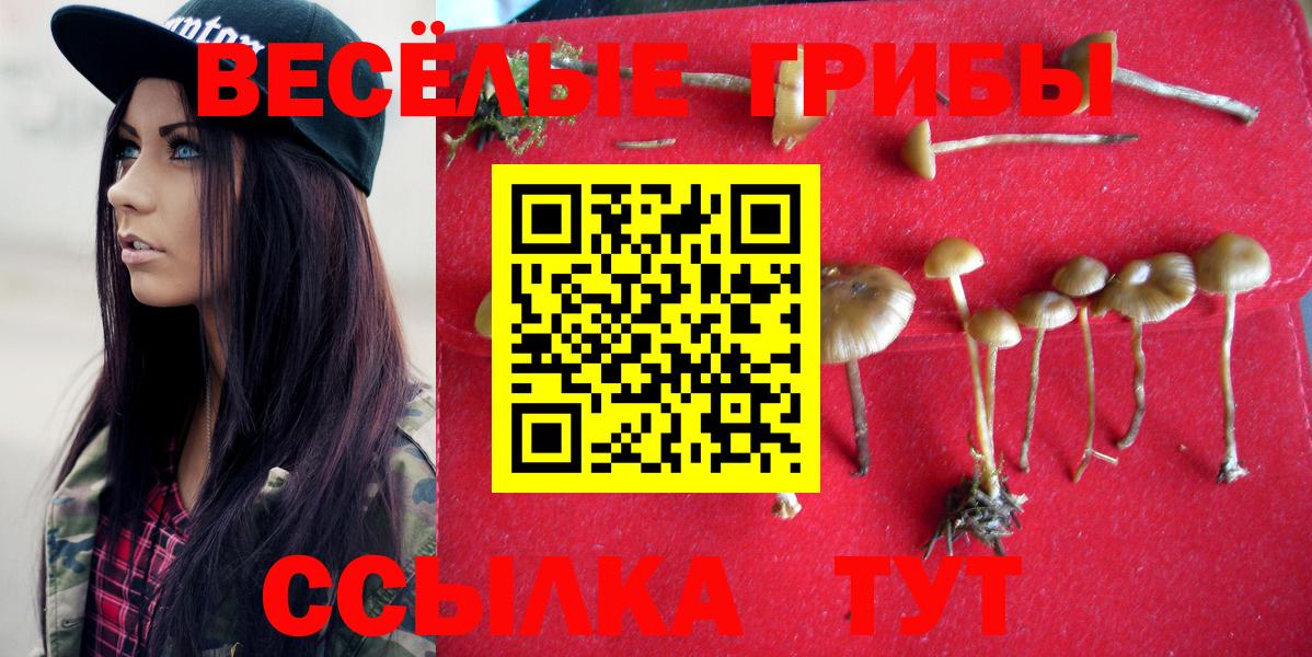 Галлюциногенные грибы Magic Shrooms Рубцовск
