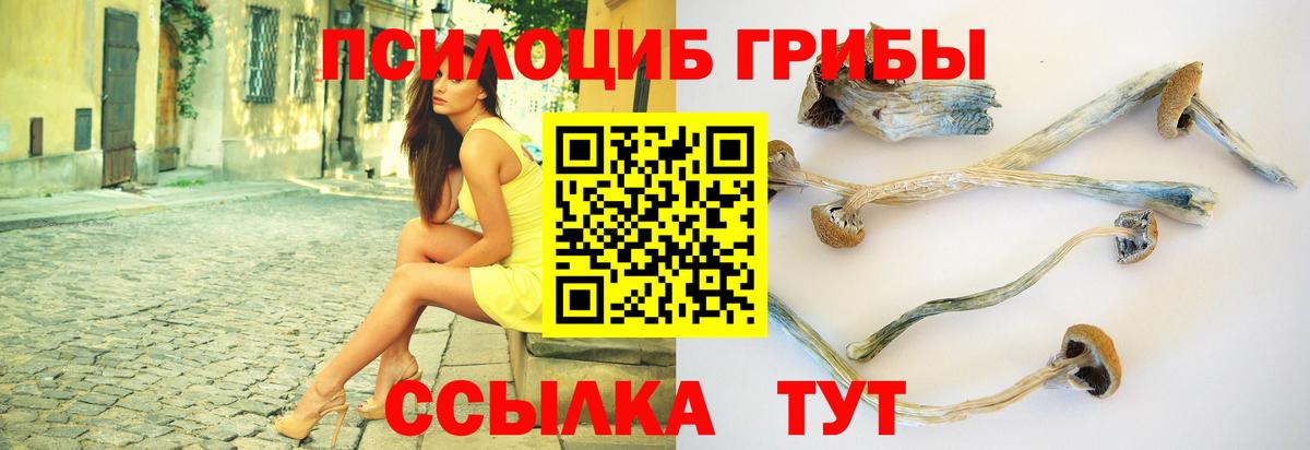 Галлюциногенные грибы ЛСД  Галлюциногенные грибы прущие грибы  Рубцовск  Вход с VPN 